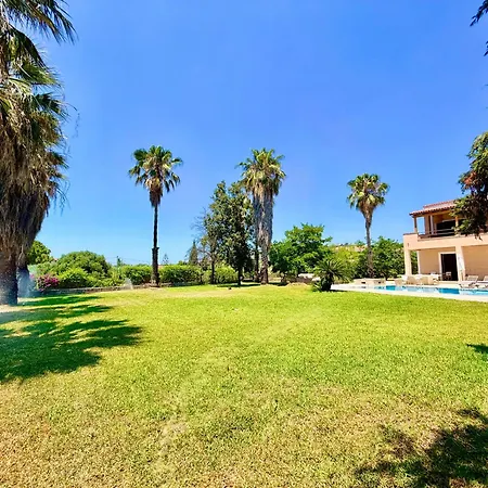 Palm Ammes * Свороната