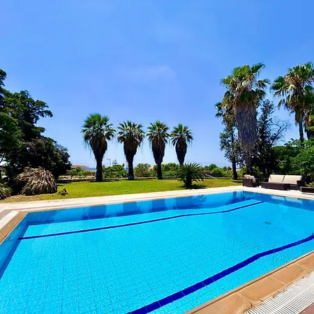 Вилла Palm Ammes Свороната