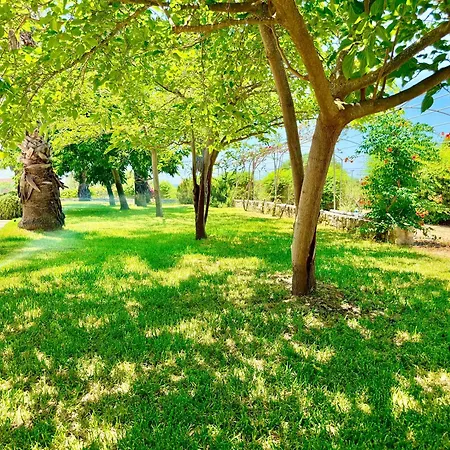 Palm Ammes Вилла Свороната