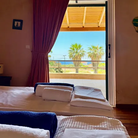 Palm Ammes Свороната